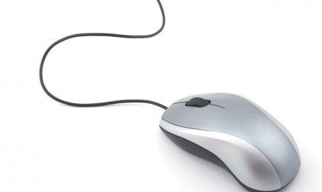 computer mouse on white